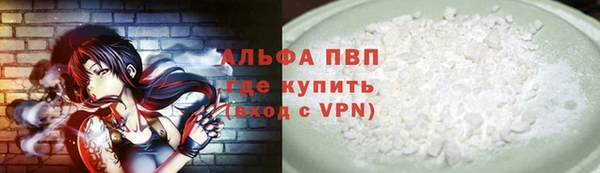 сатива Верея