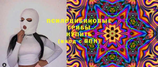 сатива Верея