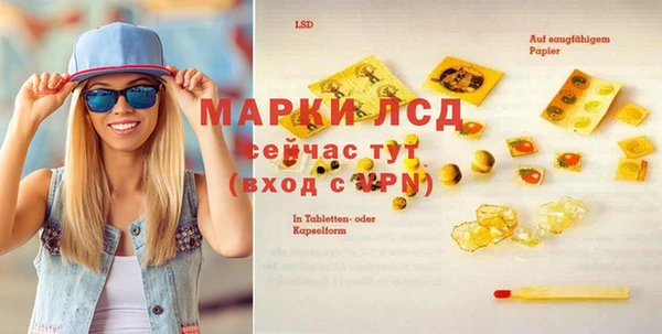 сатива Верея