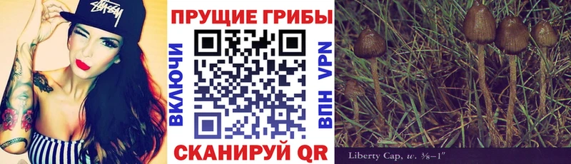 Галлюциногенные грибы MAGIC MUSHROOMS  купить  сайты  Жигулёвск 